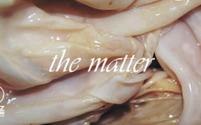 the matter
